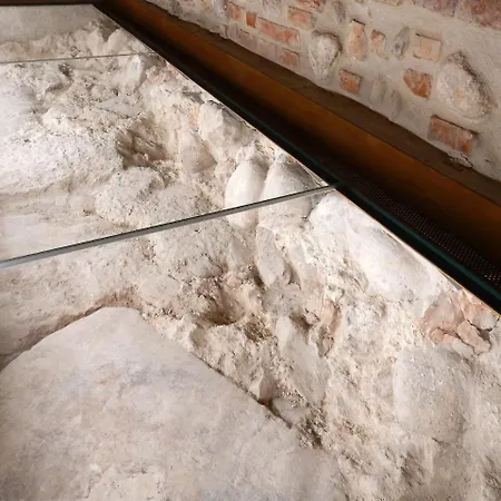 Arena Luxury فيرونا