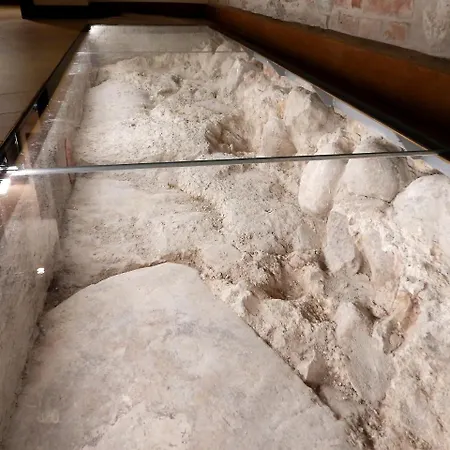 بيت ضيافة Arena Luxury 4*